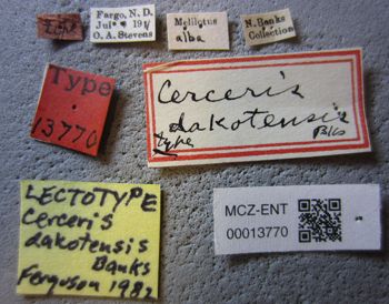Media type: image;   Entomology 13770 Aspect: labels